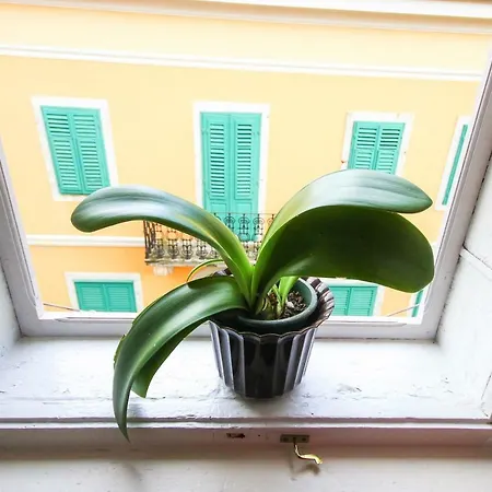 Apartman Johanna